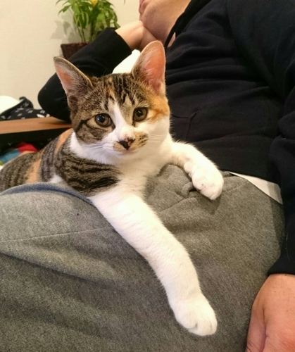 「ふふふ、私にメロメロよ」