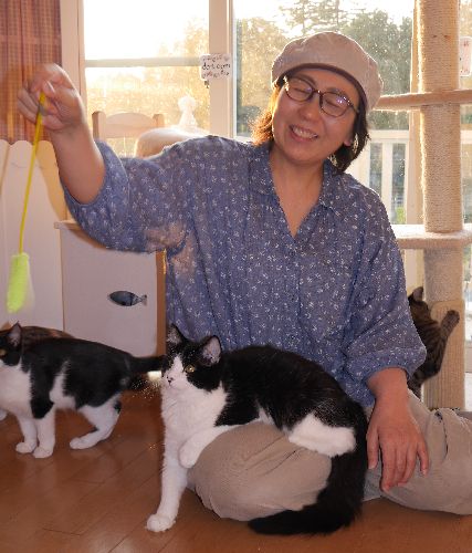 「猫といるのが健康の秘訣です」