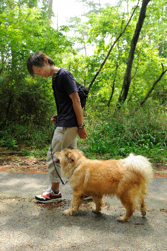犬は左側を歩かせ、飼い主は1歩前を歩くよう心がける。犬が飼い主を見るようになれば大成功!