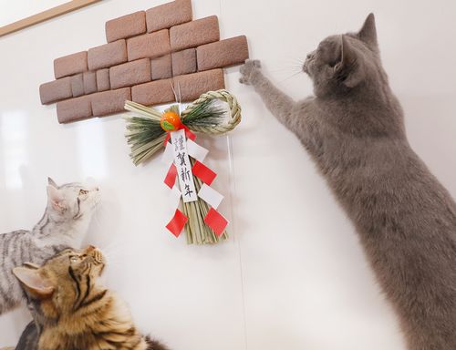 なかなか手が届かない