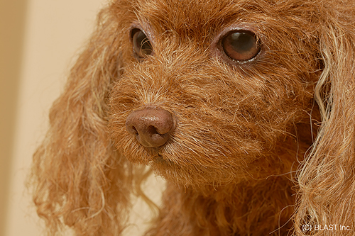 精巧なつくりのクローンワンコ(ブラスト提供)