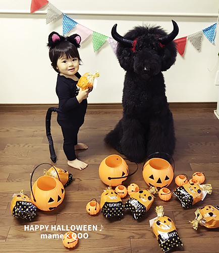 「大きなボク、小さなわたし」から