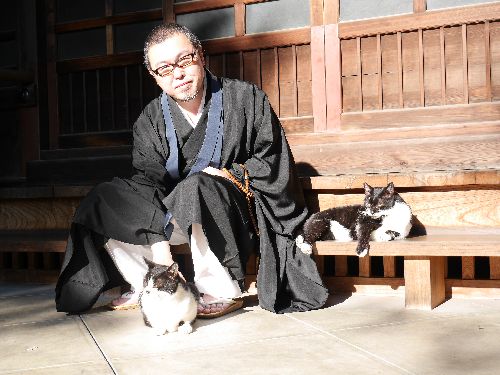 境内には6匹の猫がいる