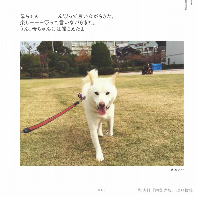 「白柴さな。」(翔泳社)から