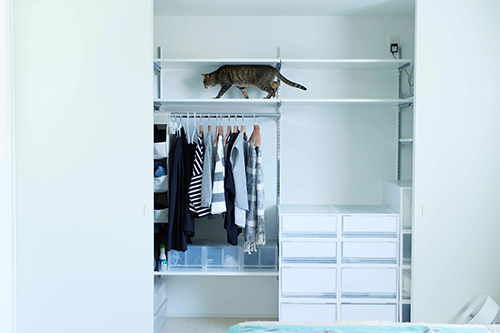 「猫がよろこぶインテリア」から(林ひろし撮影)