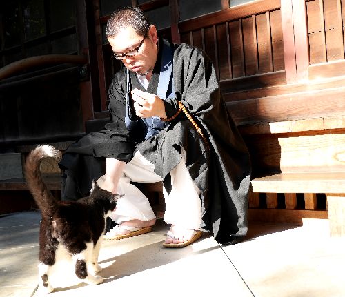 「おやつを少しあげましょう」