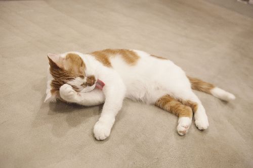 写真=井上佐由紀