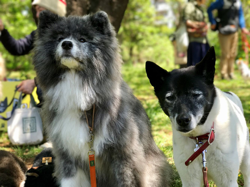 第1回に登場したリュッちゃんと