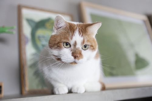 写真=井上佐由紀