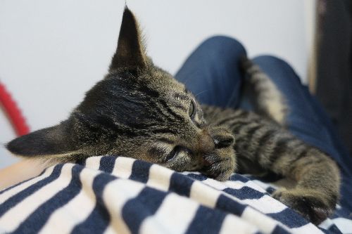 お腹の上で、指しゃぶり