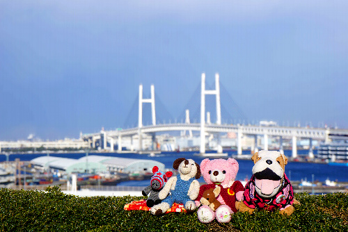 会員の細田みかほさんが横浜市の海沿いで撮った写真。「どうやったらぬいぐるみが楽しそうに見えるか考えながら写真を撮っていると、嫌なことが全て忘れられる」=細田さん提供