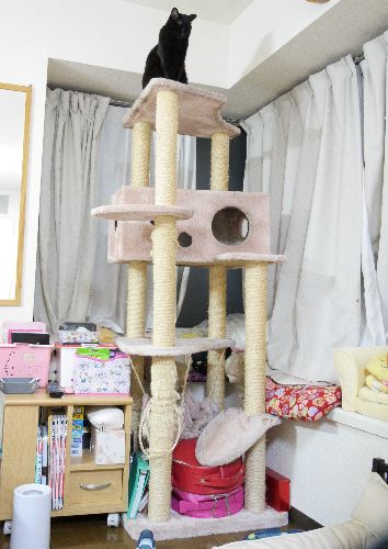 「皆あつまれー!」下界を見下ろすネロ