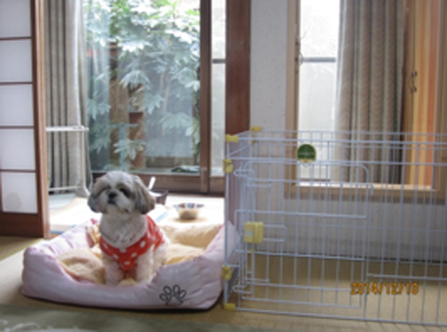 3位 民宿つるや ペットと泊まれる和室