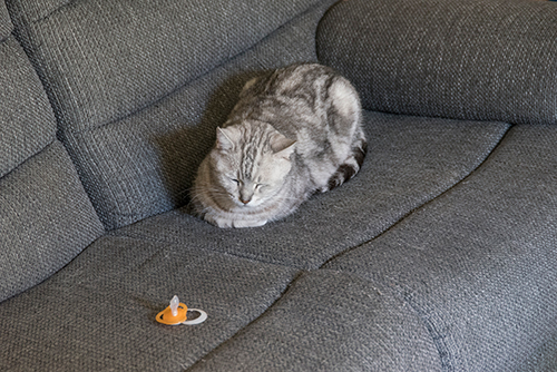 眠くなってきちゃった