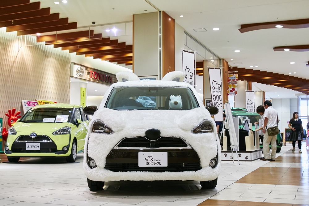 正面から。思ったよりもりりしい顔だちです。