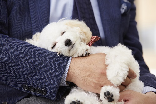 安心してすやすや…可愛い手がたまらない