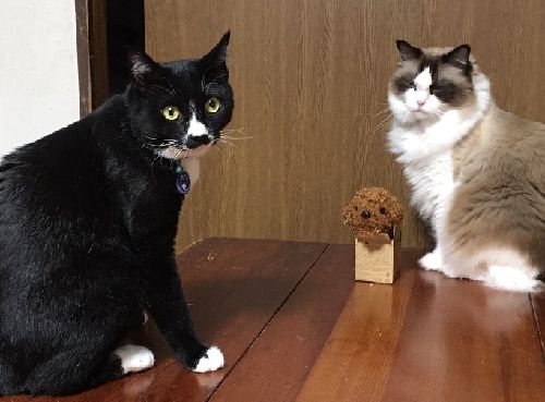 いい関係で、仲良く暮らしていこうよ