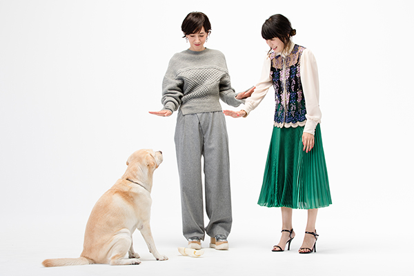 「待て」の指示