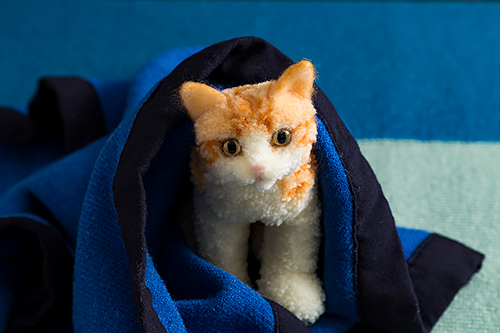 「ウチのコそっくりボンボン猫人形」から