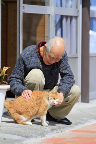 職人さんに甘える「チビ」(17歳) 祥伝社/ケニア・ドイ