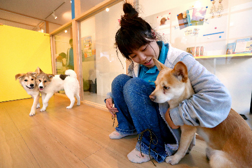 オープンした保護犬の譲渡センター=東京都世田谷区桜丘