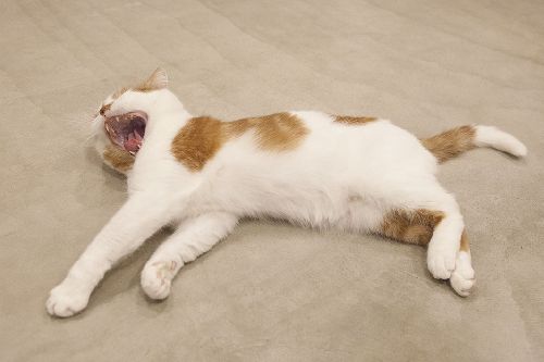 写真=井上佐由紀