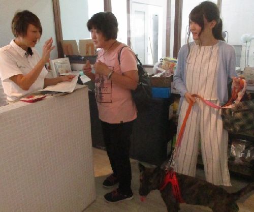 譲渡契約を取り交わし、この瞬間から本当の家族に