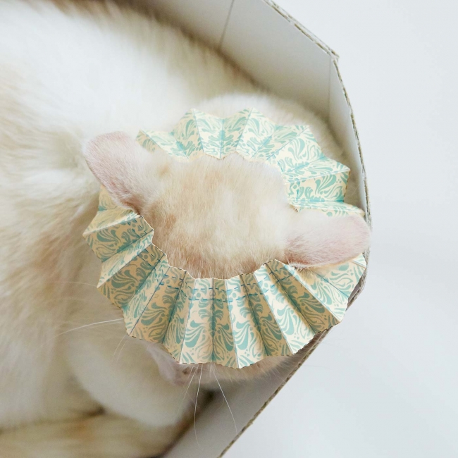 シャンプーハットは猫耳ポケット付きで頭にすっぽり。