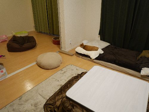 こたつはボランティアからレンタル中