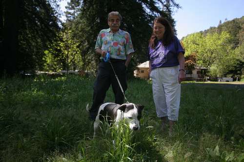 ゾーイを散歩させるボブと、PALSのボランティア(c)大塚敦子