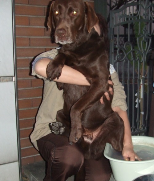 庭遊びを終えて、足を洗ってもらう「ママ。重くてごめんね」