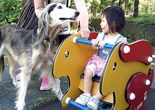 恵子さんの孫娘とご対面