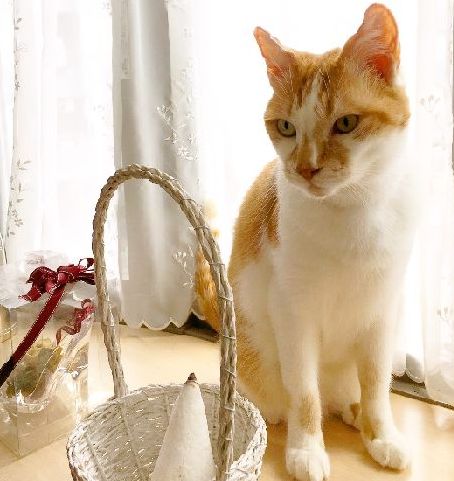 光がさす窓辺で