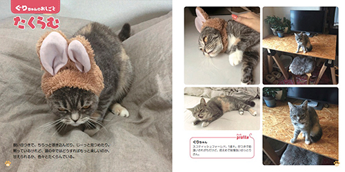 『ねこのおしごと』より