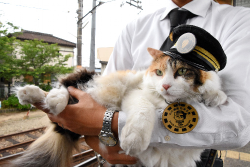 うめ星電車のお披露目に駆けつけたニタマ駅長=和歌山市の和歌山電鉄伊太祈曽駅
