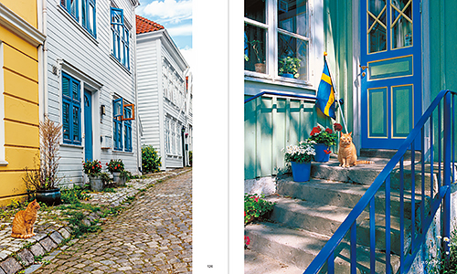 「世界の街猫」から