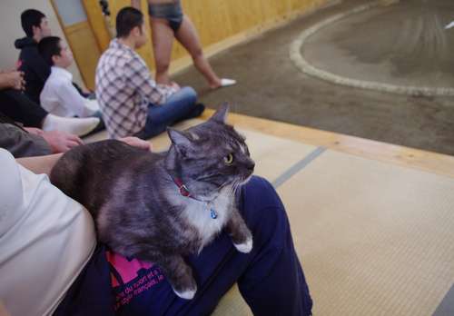 稽古場で。12年=おかみさん提供