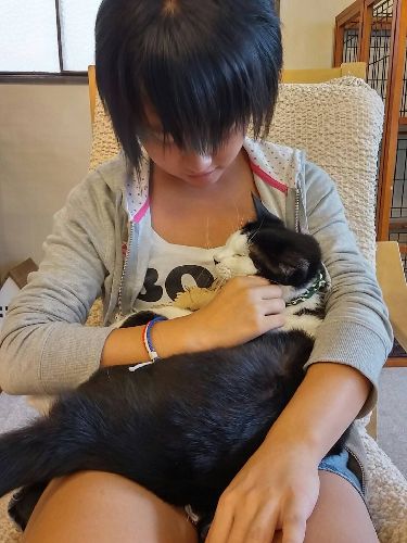 いつも傍らに猫がいる 「猫を抱くと落ちつく」