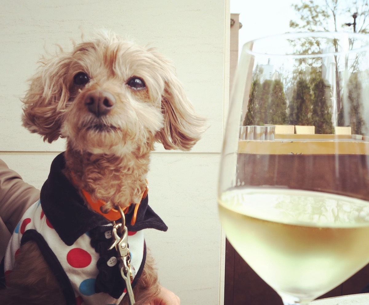 「オカン、飲んでばっかりやん」