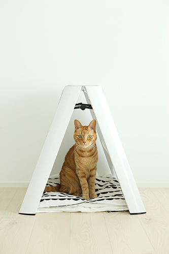 「猫がよろこぶインテリア」から(ヤノミサエ撮影)