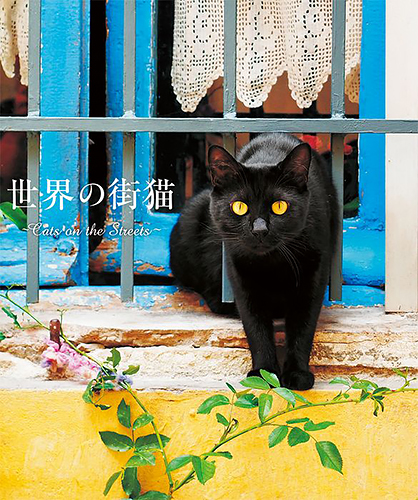 「世界の街猫」