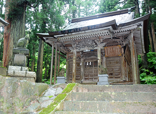 狛犬と一緒に境内を見下ろす猫の石像