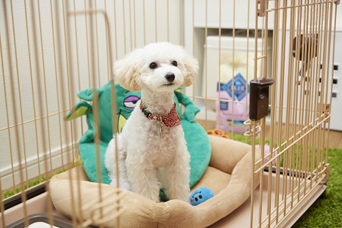 マテも上手にできるようになりました