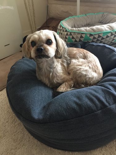 Yuhaさんの夫が買ってくれたベッドで