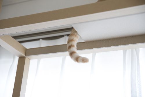 五十嵐健太撮影