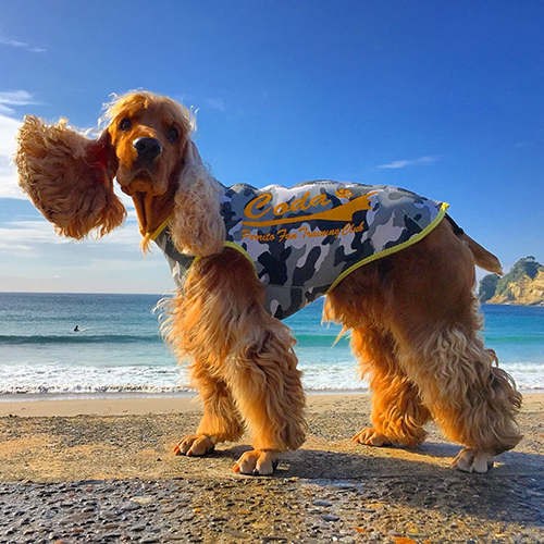 波が呼んでいる!?