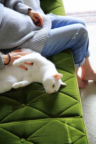 「モモ」(16歳)は人の言葉がわかるおしゃべりさん 祥伝社/ケニア・ドイ