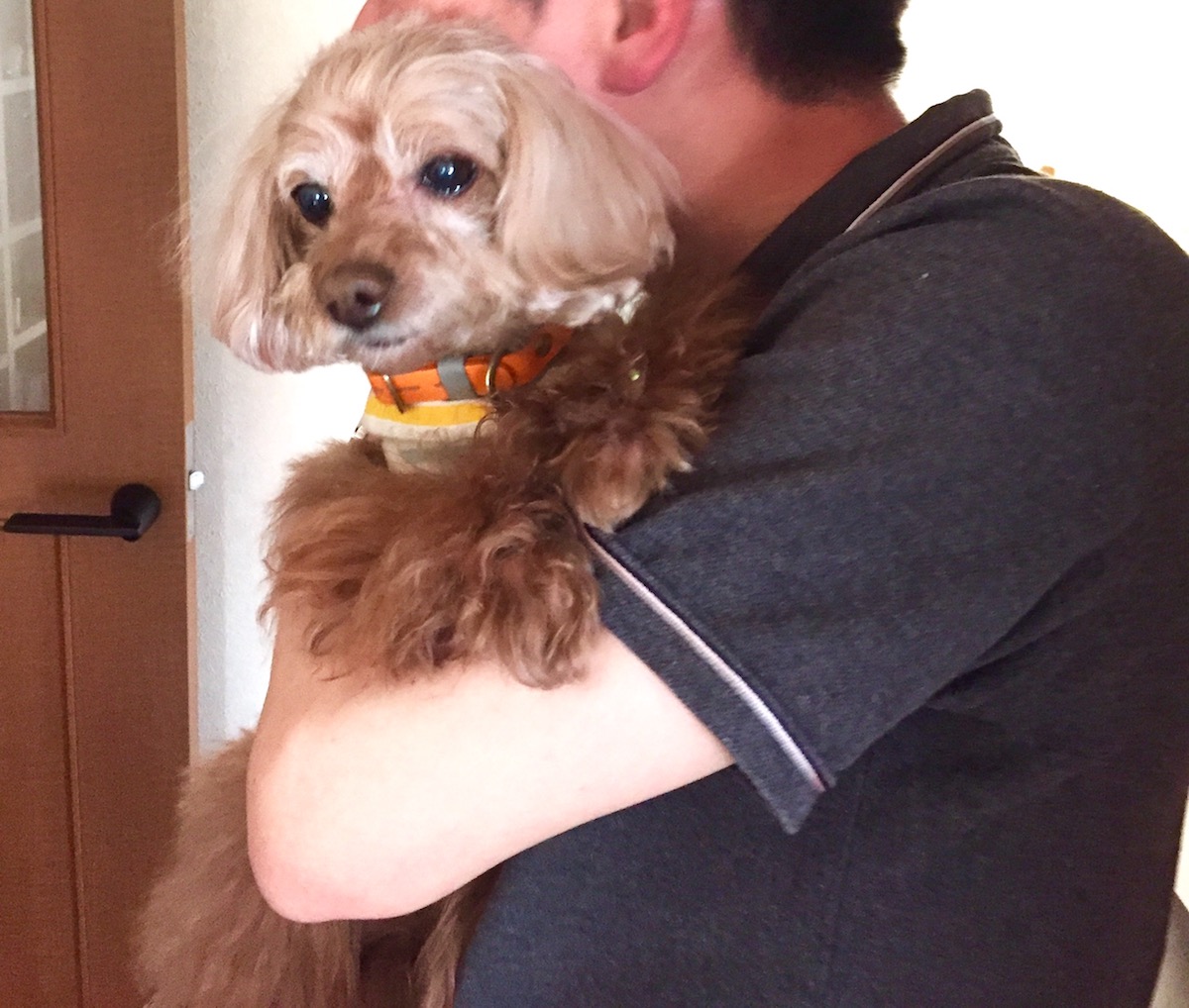 いっぱい抱っこもしてもらったよ!