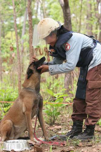 地雷探知犬とハンドラーは固い絆で結ばれている(c)大塚敦子