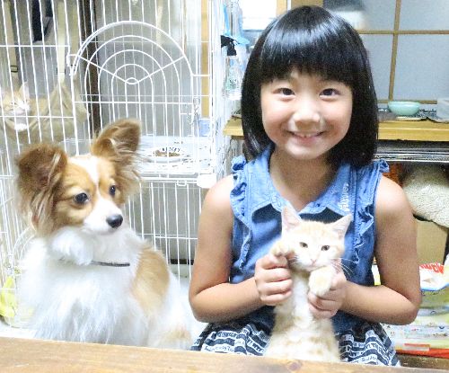 左は「ふうたろう」、膝の上は「小印(こいん」